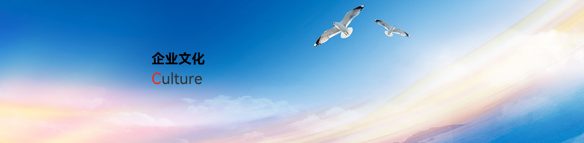 企业文化