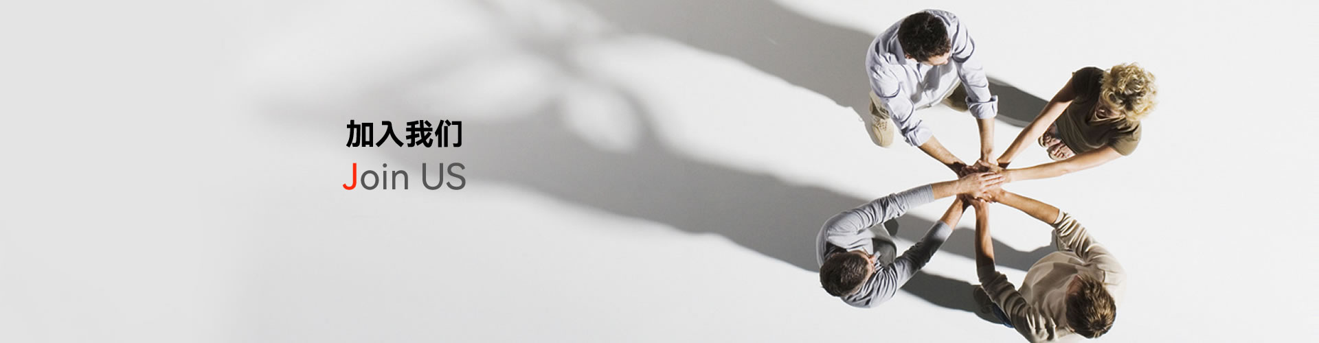 加入我们